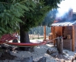 Cazare Pensiuni Budesti Maramures | Cazare si Rezervari la Cabana Paulownia din Budesti Maramures